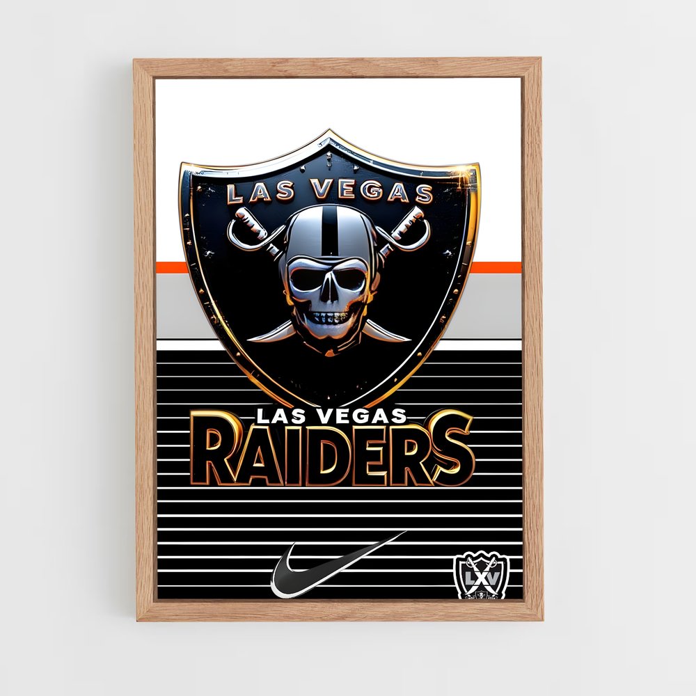 Poster Black & Silver Raiders (vue 4)